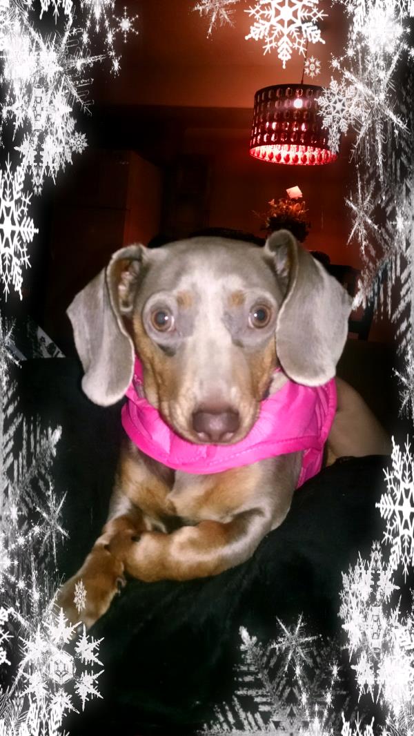 /Images/uploads/Humane Society of Utah/HSUCalendar/entries/814thumb.jpg